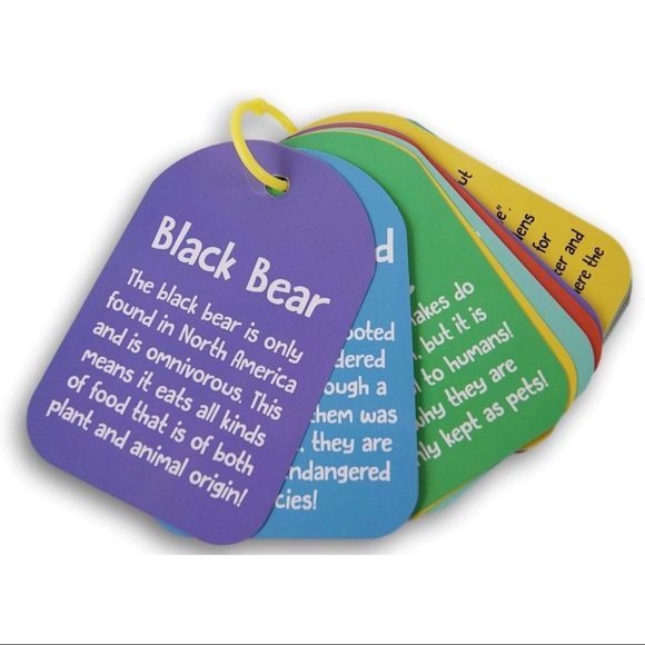 SOLD-Backpack Flash Cards - 20 Pc on Plastic Ring (North American Wildlife) - Picture 4 of 5